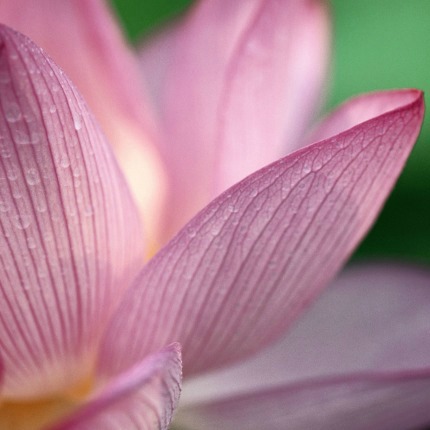 Inner Child Healing Inner Child Healing